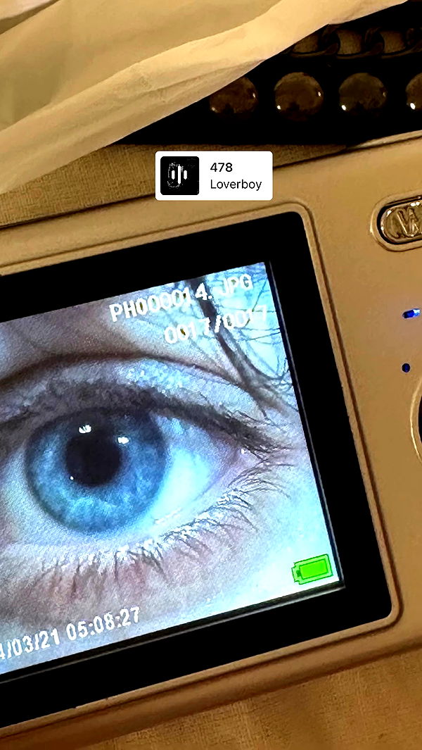 liashaked archive video preview