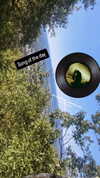 zz.eazoning Altpins Profile Picture
