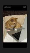 _koolkat__ Altpins Profile Picture