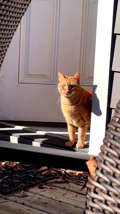 winbun.io winbun.io archive video