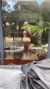 elena_blur Altpins Profile Picture