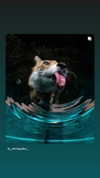 gigibizarreadventure Altpins Profile Picture