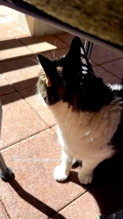 sophiemudd sophiemudd archive video