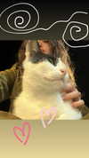 6a1it Altpins Profile Picture