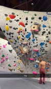 cclaire.bbear1 Altpins Profile Picture