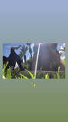 _batzir_haanavim Altpins Profile Picture