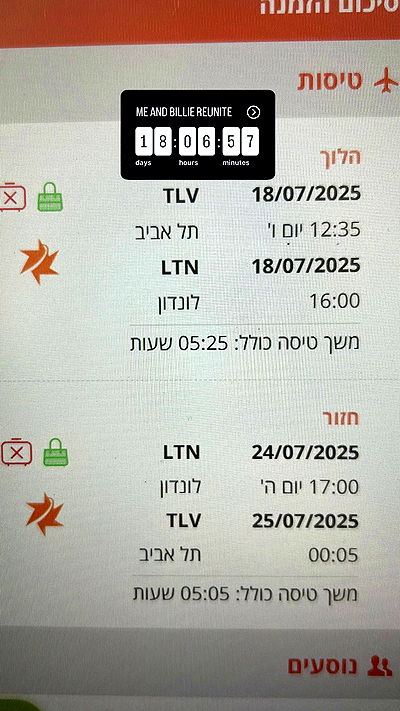 feelbetterinmysweater feelbetterinmysweater archive video