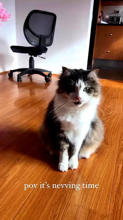 iheartpidge iheartpidge archive video