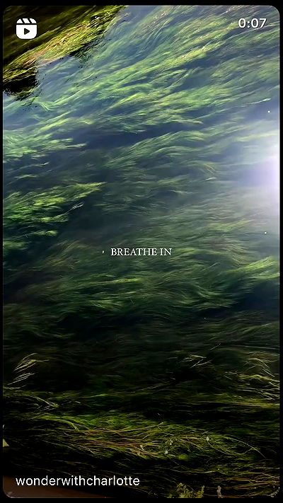 liashaked liashaked archive video