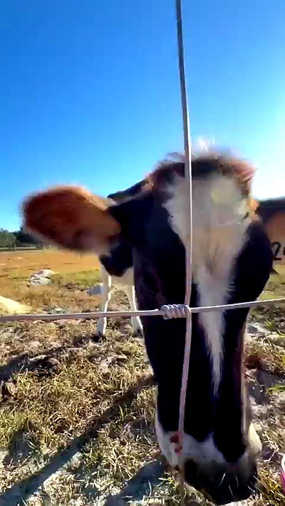 sophieraiin sophieraiin archive video