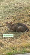 bluulin_ Altpins Profile Picture