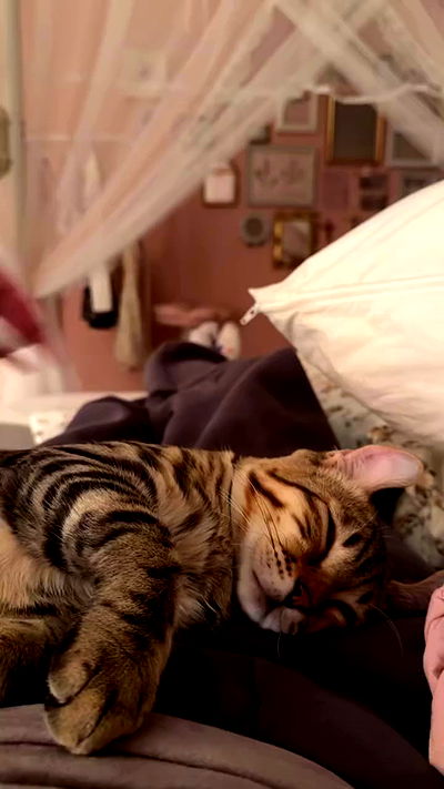 laurinchhhe laurinchhhe archive video