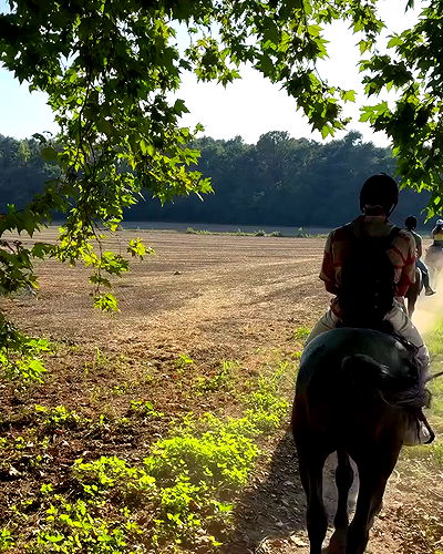 itshayleydavies itshayleydavies archive video