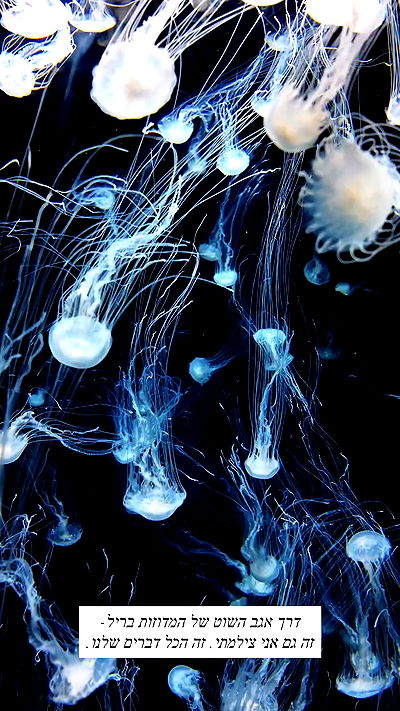 itsilanosh itsilanosh archive video