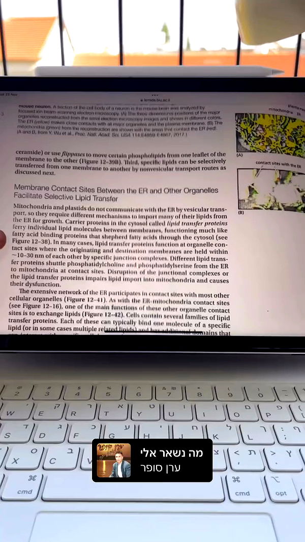 kesemgreenyer archive video preview