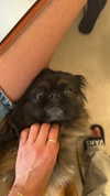 roni_ackerman Altpins Profile Picture