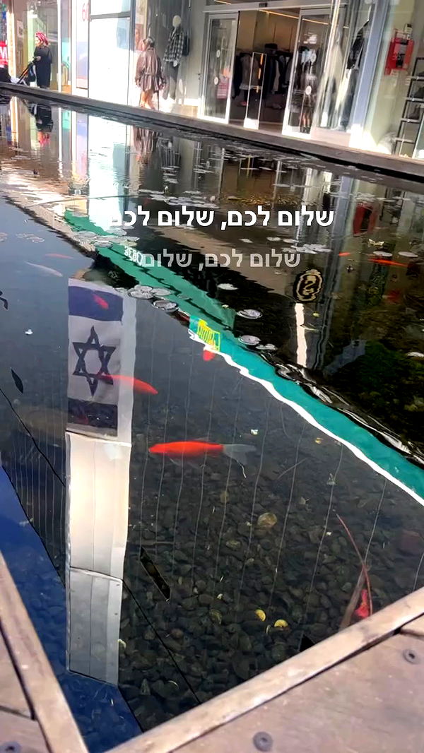 yuliarazi archive video preview