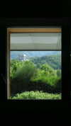 flo_holland53 Altpins Profile Picture