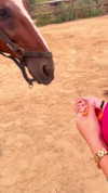 carla.famulari Altpins Profile Picture