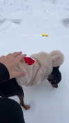 jenny.kaly Altpins Profile Picture