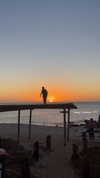 anneliese.mitchell1 Altpins Profile Picture