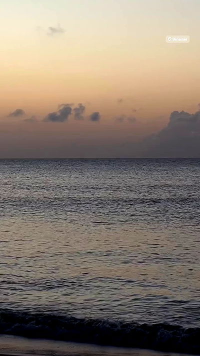 payton.r payton.r archive video