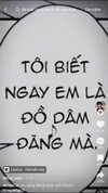 suadaunanh_ne Altpins Profile Picture