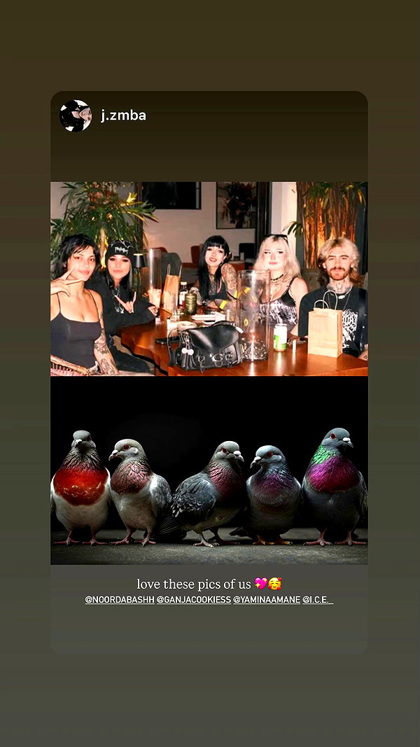 yaminaamane archive video preview