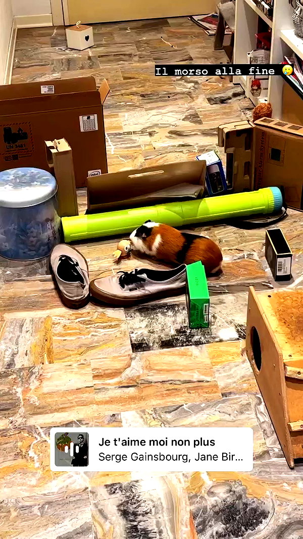 la.vica_ archive video preview