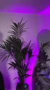aleksandraverse Altpins Profile Picture