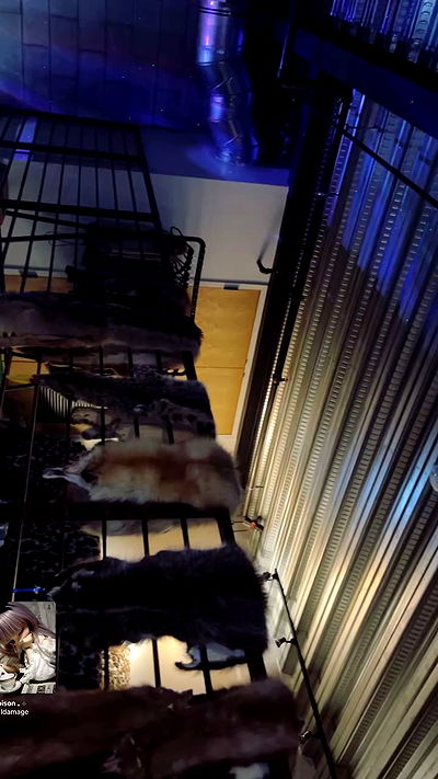 zommmbri zommmbri archive video