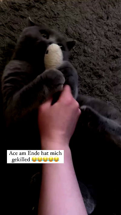 yoo.mon yoo.mon archive video