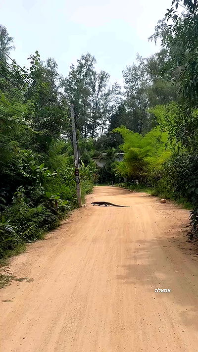 talweisswasser talweisswasser archive video