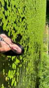 digital.grave Altpins Profile Picture