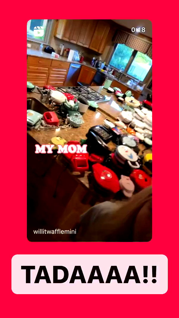 willitwafflemini archive video preview