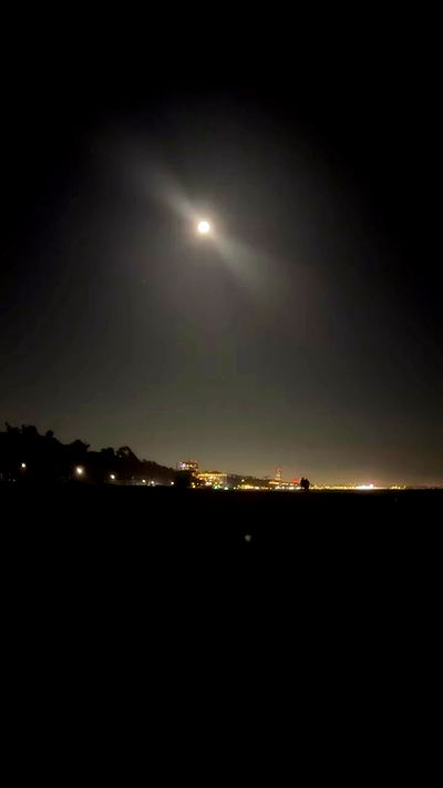 zommmbri zommmbri archive video