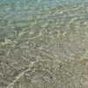 eloise_wensley Altpins Profile Picture