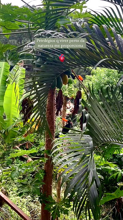 eusandyyh eusandyyh archive video