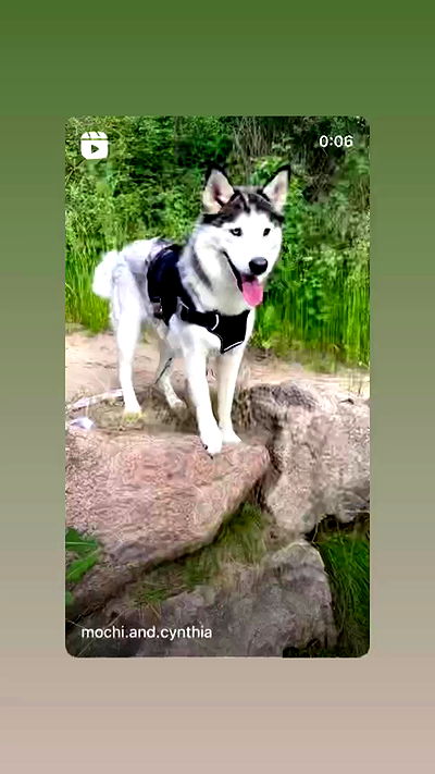 _animechika_ _animechika_ archive video