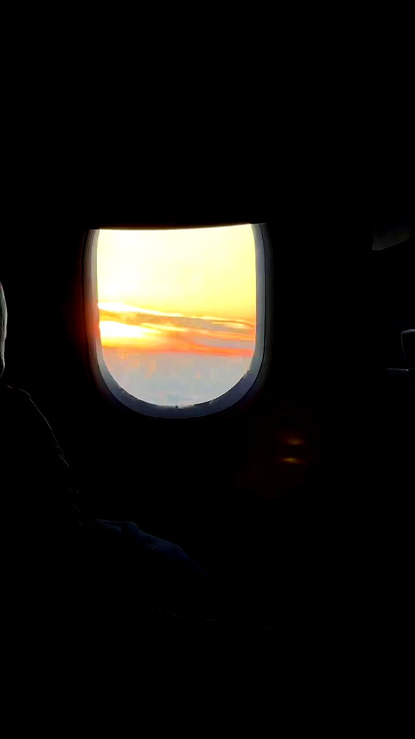 ywwyiiing archive video preview
