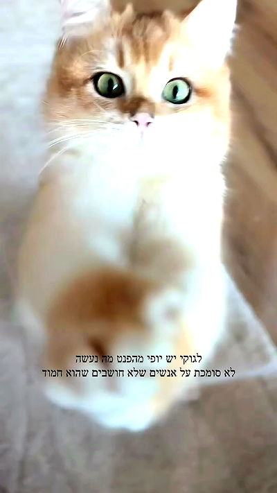 itsilanosh itsilanosh archive video