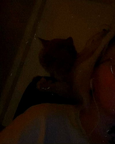 yoo.mon yoo.mon archive video