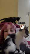 mittzaa_ Altpins Profile Picture