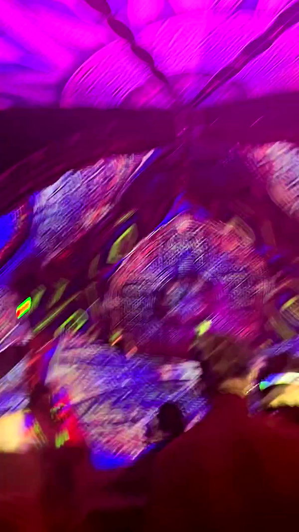 calyen archive video preview