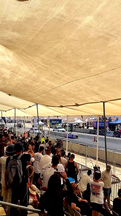 simp_for_cats_ simp_for_cats_ archive video