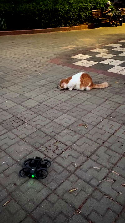 neomiconrad neomiconrad archive video