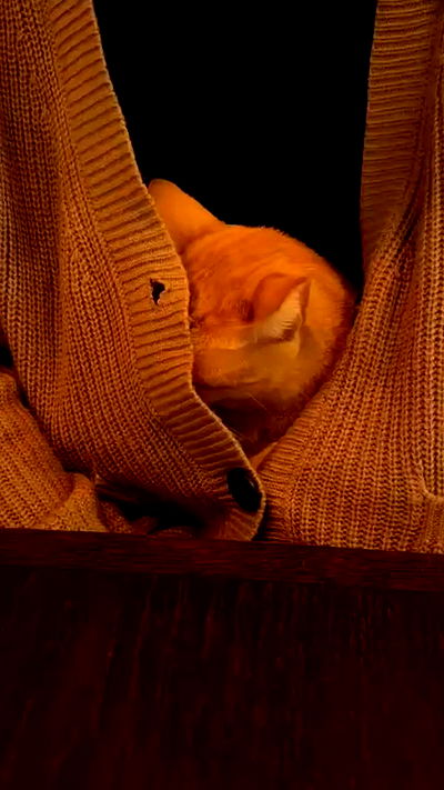 mishel116 mishel116 archive video