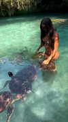noa_mendel_ Altpins Profile Picture