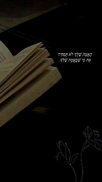 _lil_noa_ _lil_noa_ archive video