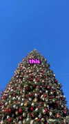 realcamillaara Altpins Profile Picture